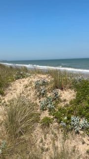 Omaha Beach, below the cemetery and W62. 
#omahabeach #normandy #ddayhistory #ww2history #normandie #wn62omaha