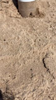 #omahabeach #normandy #normandie #ww2history #ddayhistory #garysinisefoundation #garysinise